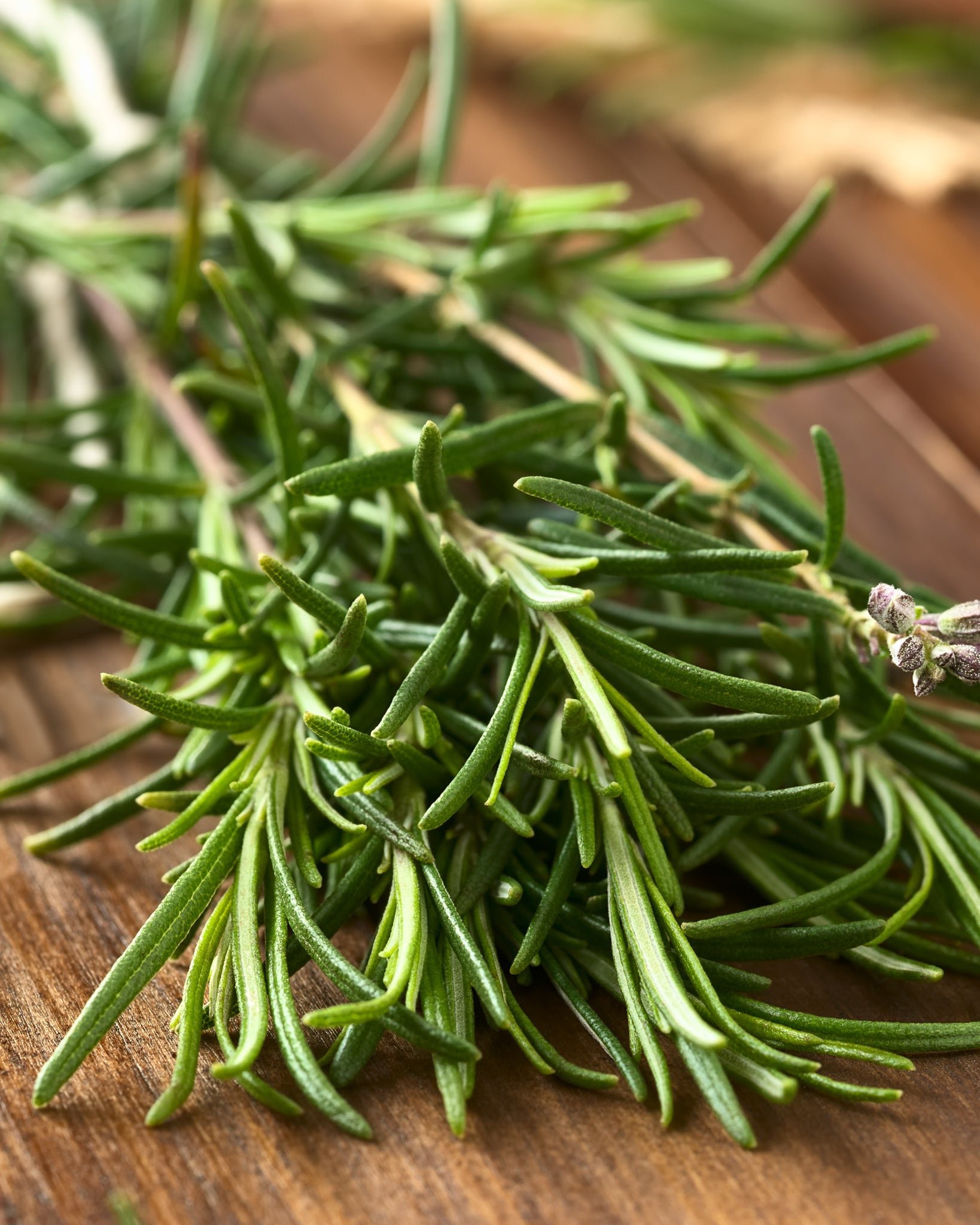 Rosemary Olive Oil