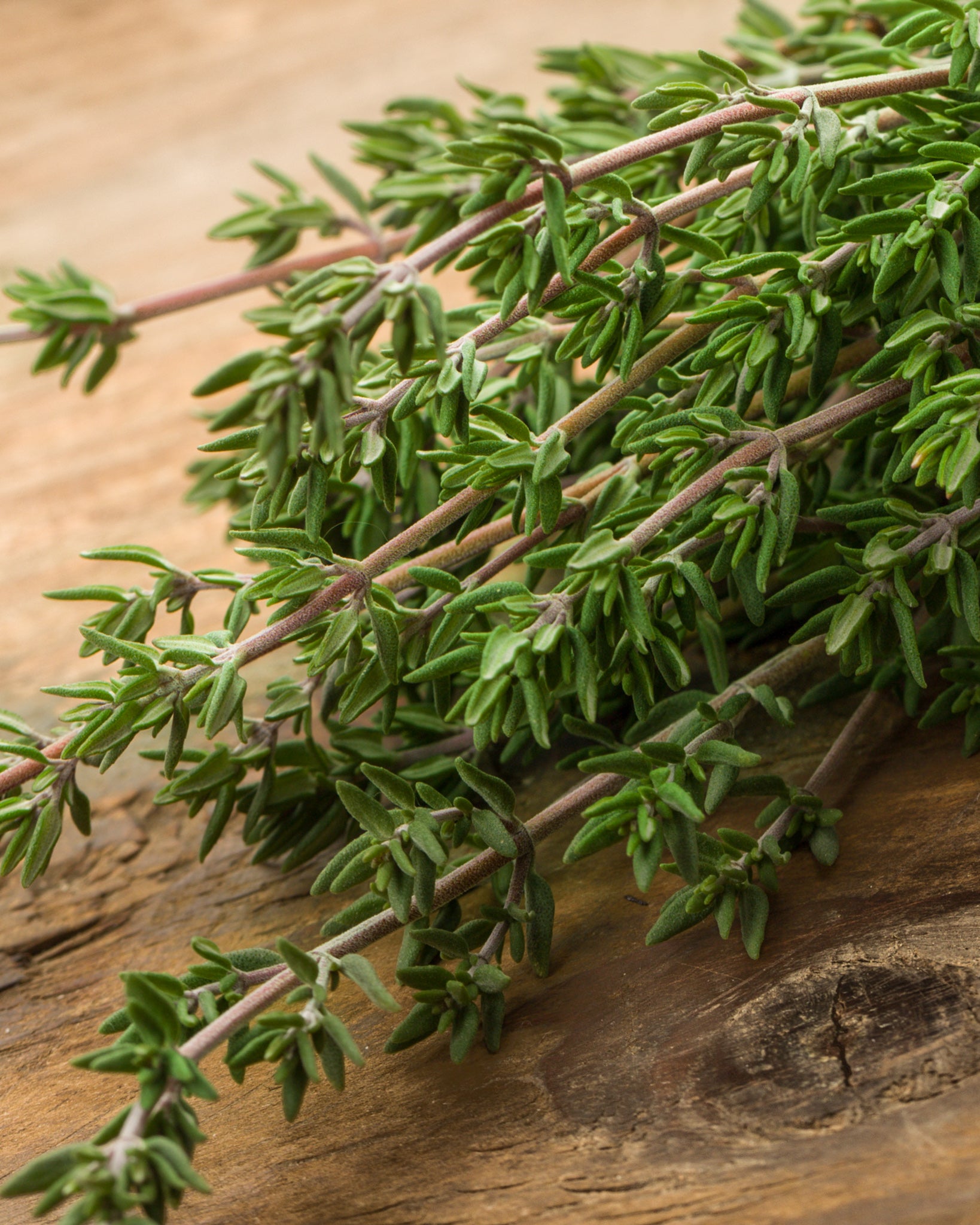 Thyme Olive Oil